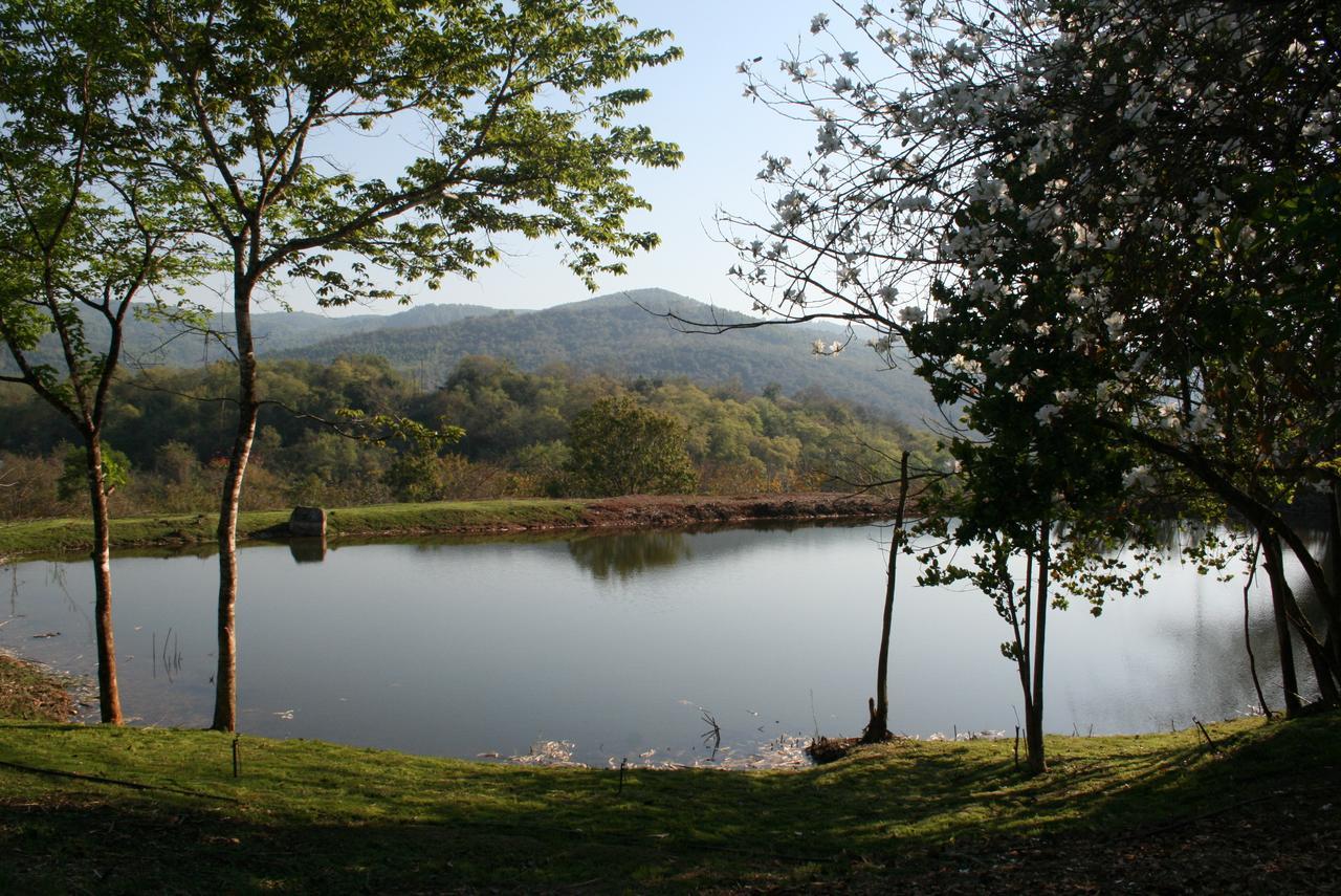 Mountain Creek Lodge 헤이지뷰 외부 사진