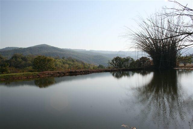 Mountain Creek Lodge 헤이지뷰 외부 사진
